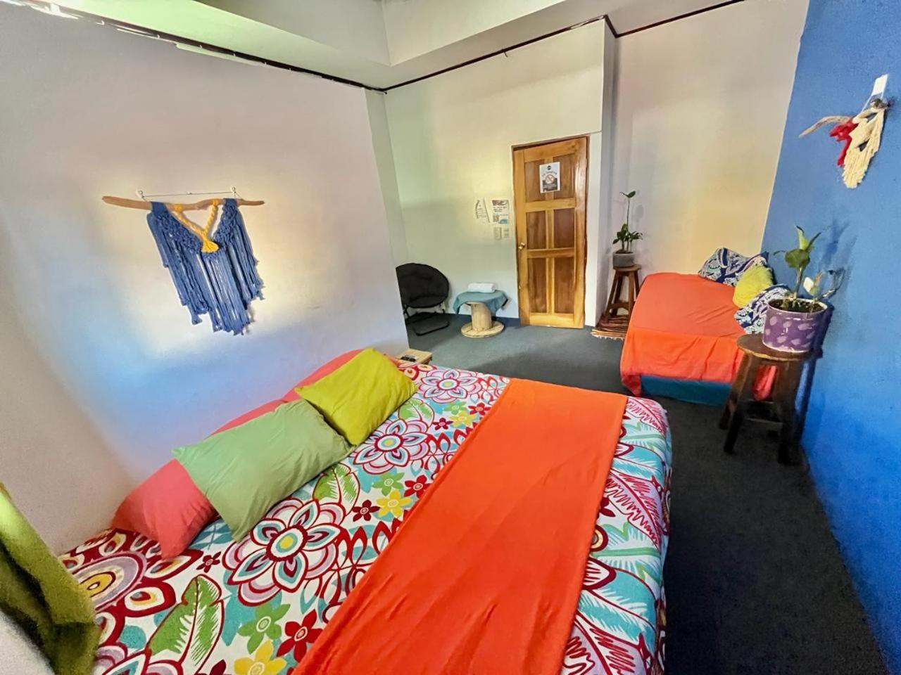 Cheap Hostel 奎波斯城 外观 照片