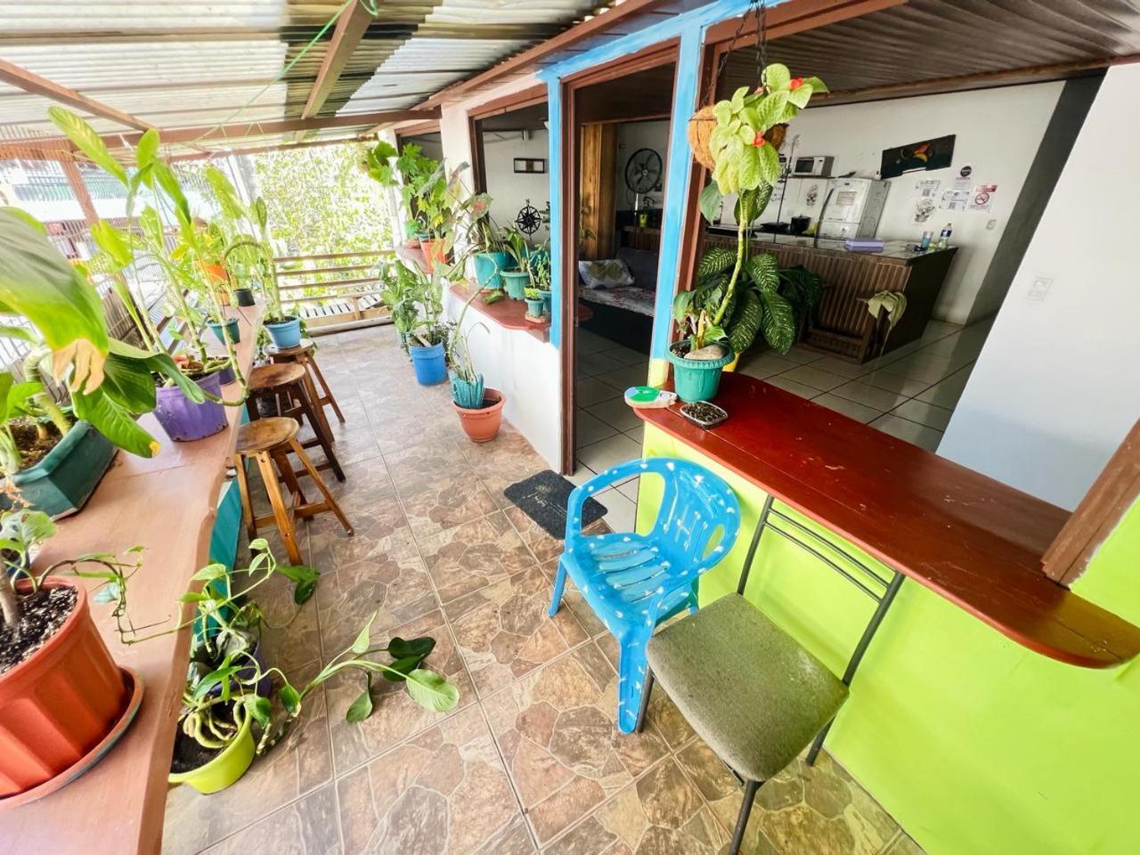 Cheap Hostel 奎波斯城 外观 照片